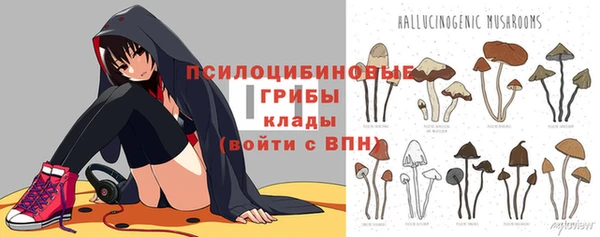 твердый Баксан