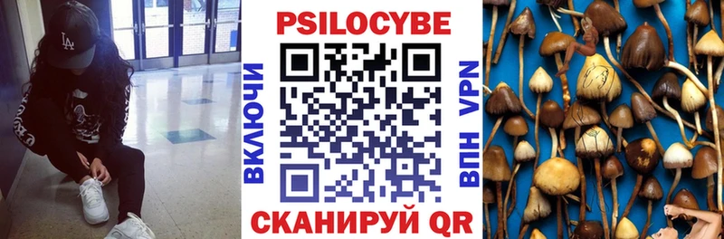 Галлюциногенные грибы Cubensis Гремячинск